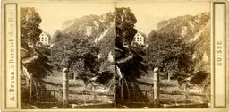 MAG3558.jpg