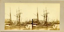 MAG3587.jpg