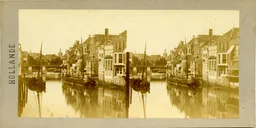 MAG3589.jpg