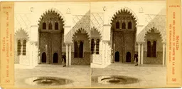 MAG3608.jpg