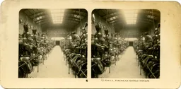 MAG3618.jpg