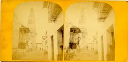 MAG3628.jpg