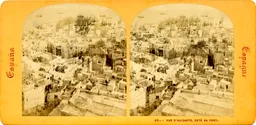 MAG3629.jpg