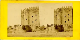 MAG3642.jpg