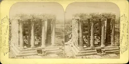 MAG3689.jpg