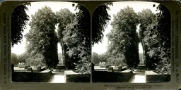 MAG3693.jpg