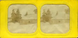 MAG3694.jpg