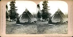MAG3695.jpg