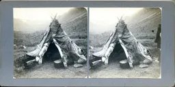 MAG3696.jpg