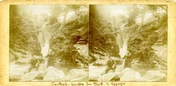 MAG3714.jpg