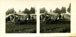 MAG3739.jpg