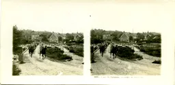 MAG3741.jpg