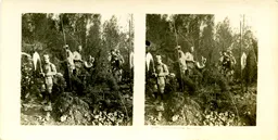 MAG3743.jpg
