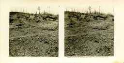 MAG3745.jpg