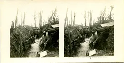 MAG3747.jpg