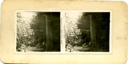 MAG3757.jpg
