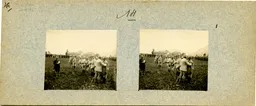 MAG3771.jpg