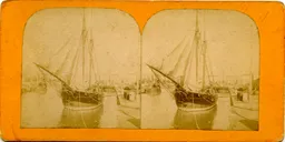 MAG3781.jpg