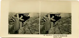 MAG3791.jpg