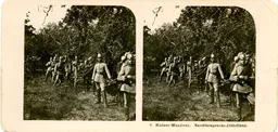 MAG3797.jpg