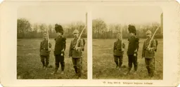 MAG3798.jpg