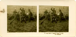 MAG3801.jpg