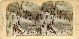 MAG3821.jpg