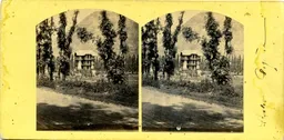 MAG3824.jpg