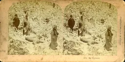 MAG3845.jpg