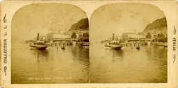 MAG3852.jpg