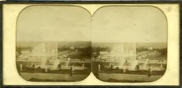 MAG3896.jpg