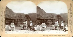 MAG3898.jpg