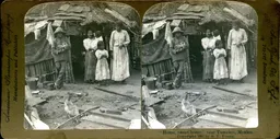 MAG3902.jpg
