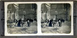 MAG3928.jpg