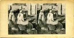 MAG3950.jpg