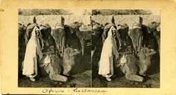 MAG3953.jpg