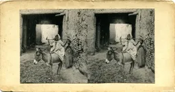 MAG3955.jpg