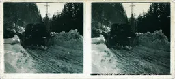 MAG3963.jpg