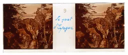 MAG3978.jpg