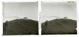 MAG3980.jpg