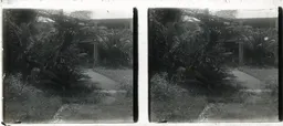 MAG3991.jpg