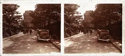 MAG4004.jpg