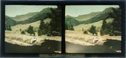 MAG4131.jpg