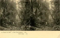 MAG4225.jpg