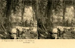 MAG4230.jpg
