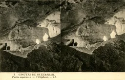 MAG4246.jpg