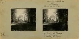 MAG4311.jpg