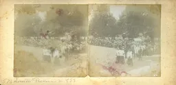 MAG4376.jpg