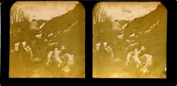 MAG4495.jpg