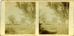 MAG4507.jpg